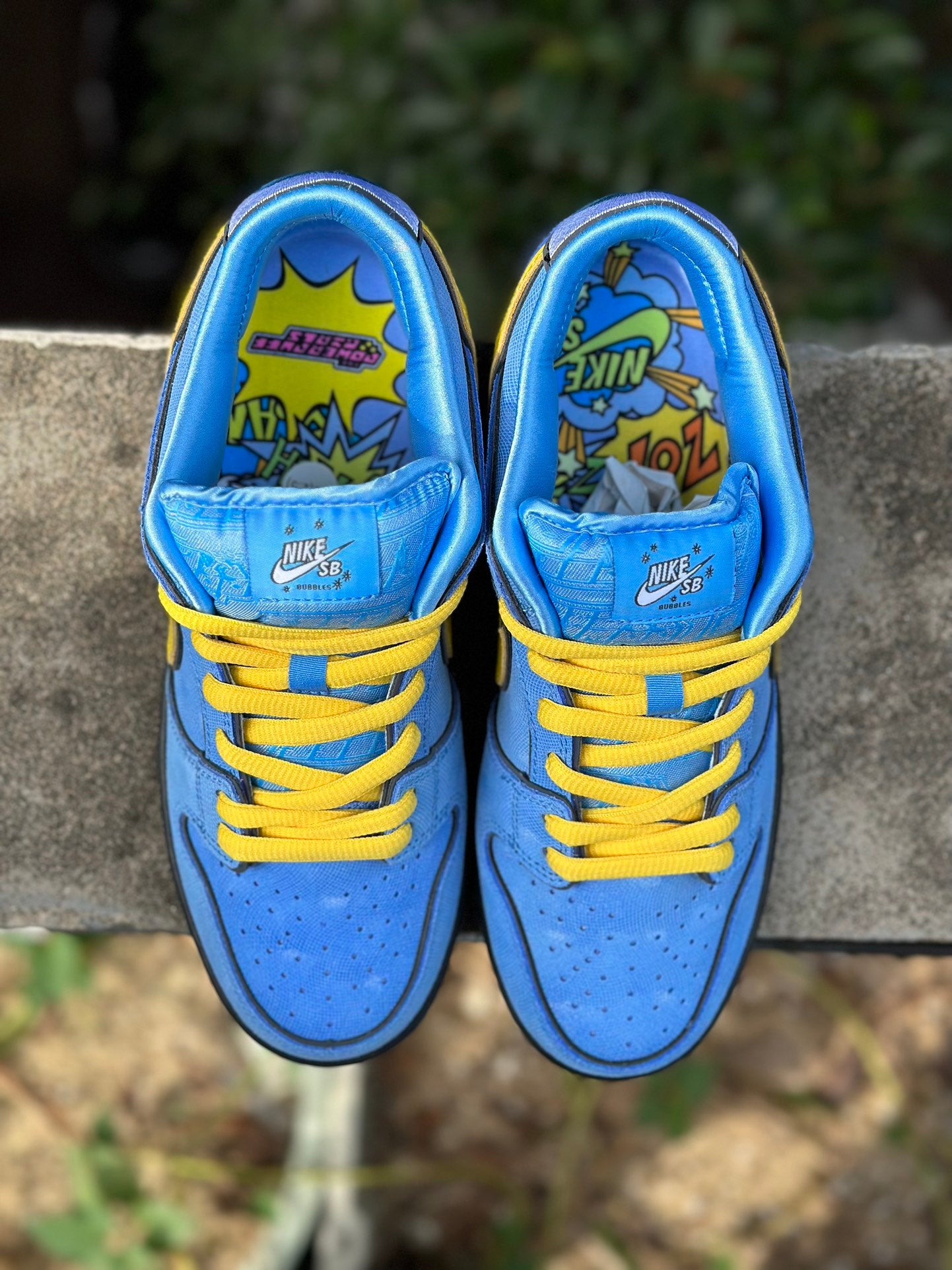 SB Dunk Low The Powerpuff Girls Bubbles