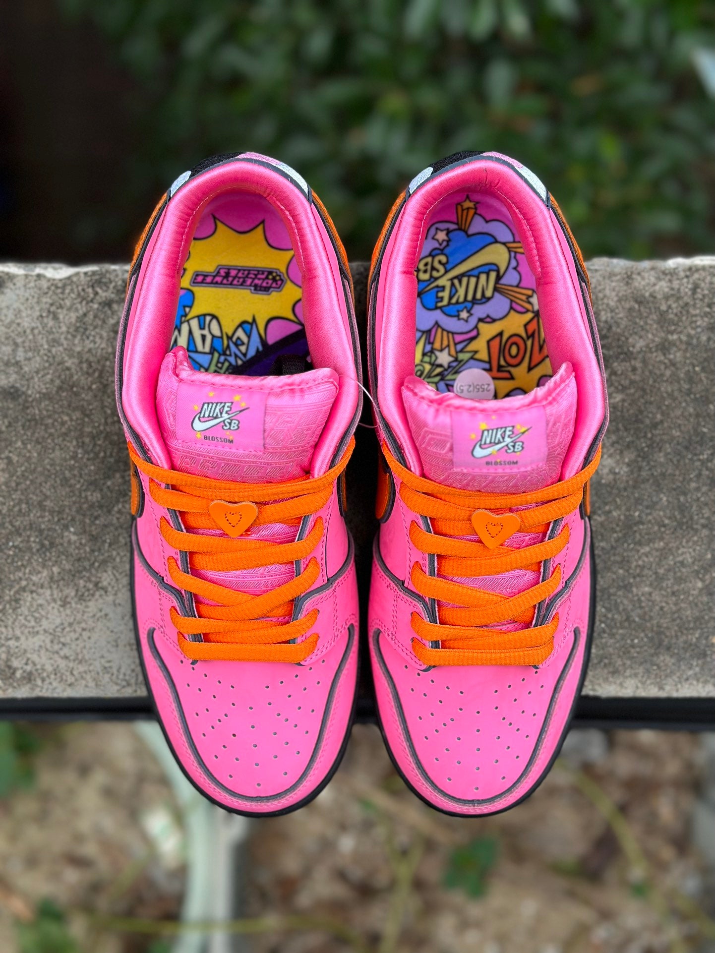 SB Dunk Low The Powerpuff Girls Blossom